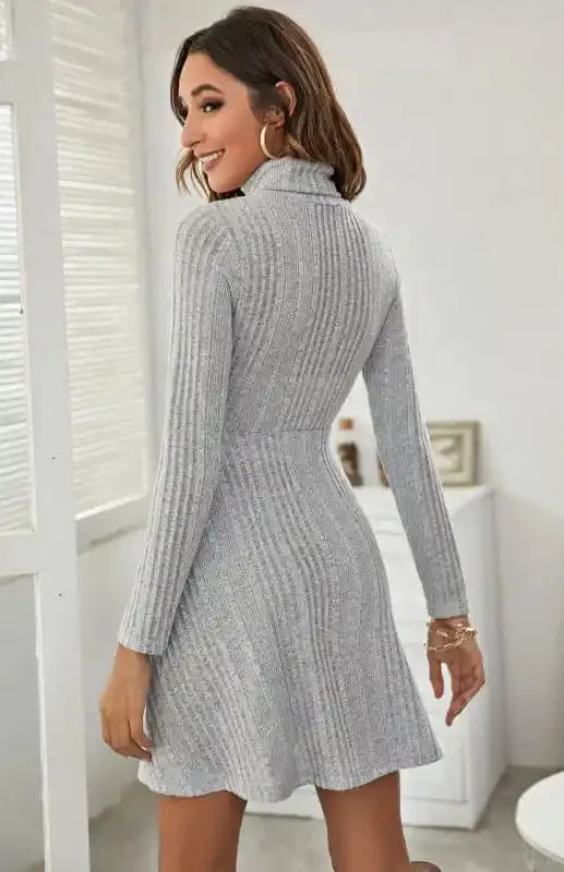 Women’s Turtleneck Pleated A Line Dress